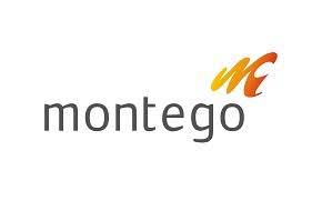 Montego upstream services Ltd